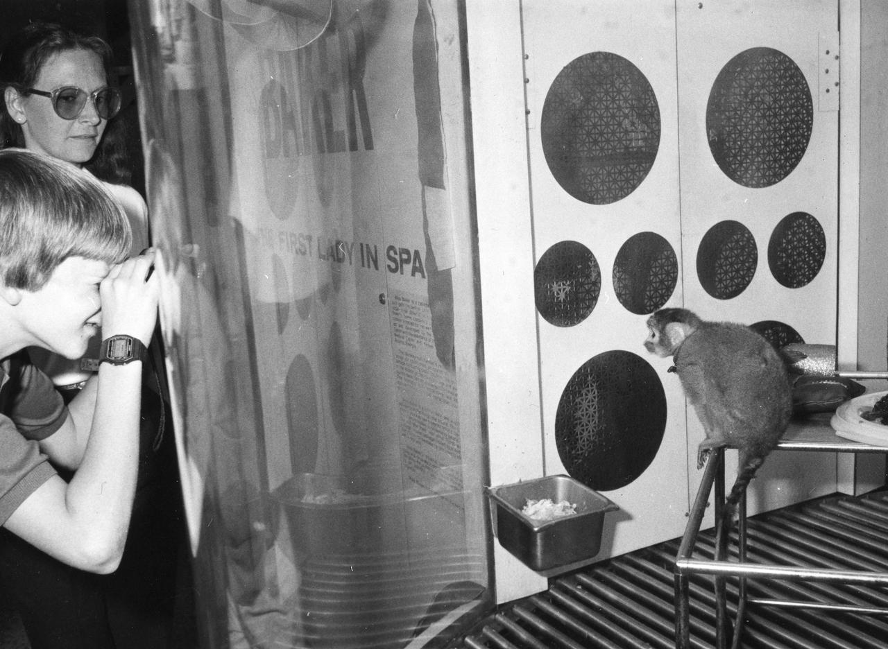 Miss Baker, a squirrel monkey who made a historical flight aboard the Jupiter (AM-18) in May 1959, is seen here in her viewing area where she resided at the U.S. Space and Rocket Center.
