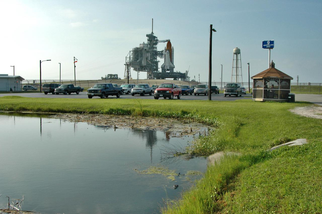 KENNEDY SPACE CENTER, FLA. -  In a pond near Launch Pad 39B, an alligator lurks near the tall grass on the lower right side.  In the background is Space Shuttle Discovery, in full launch configuration after rollback of the Rotating Service Structure (RSS).  Rollback of the RSS is a major preflight milestone, typically occurring during the T-11-hour hold on L-1 (the day before launch). Discovery is scheduled to lift off on the historic Return to Flight mission STS-114 at 10:39 a.m. EDT July 26 with a crew of seven.