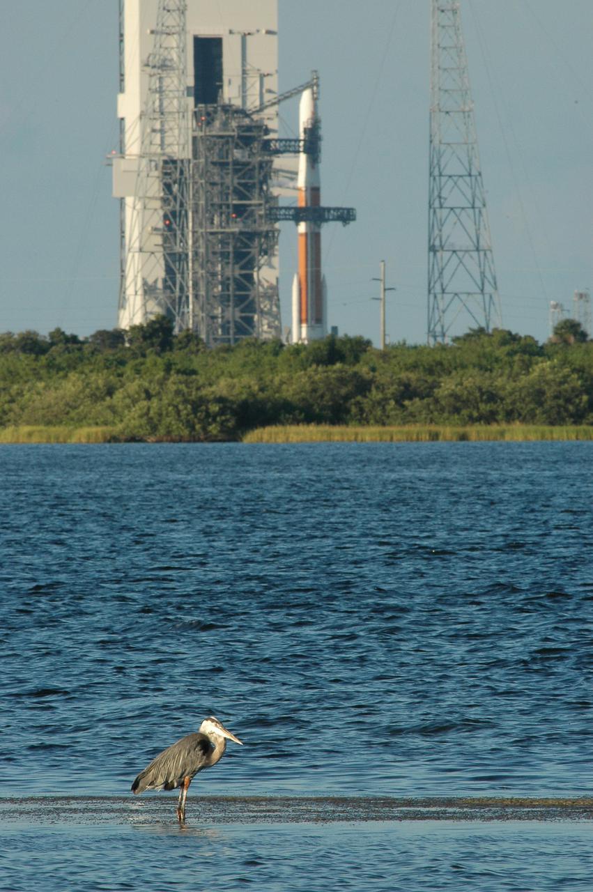 KENNEDY SPACE CENTER, FLA. - On Launch Complex 37 at Cape Canaveral Air Force Station in Florida, the Delta IV rocket and GOES-N satellite are being safed after the launch was scrubbed due to technical issues and postponed to a later date. In the foreground is a heron, wading in shallow water in the Indian River Lagoon. GOES-N is the latest in a series of Geostationary Operational Environmental Satellites providing continuous monitoring necessary for intensive data analysis.