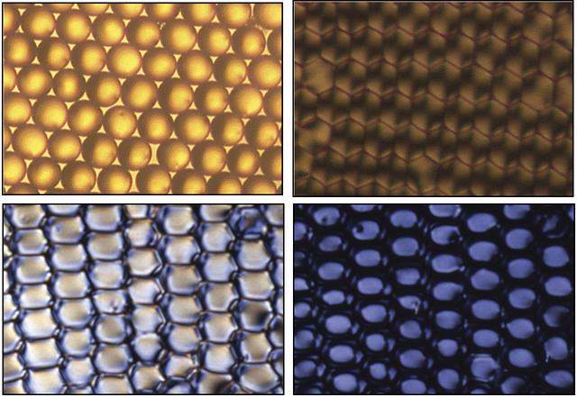 These images, from David Weitz’s liquid crystal research, show ordered uniform sized droplets (upper left) before they are dried from their solution. After the droplets are dried (upper right), they are viewed with crossed polarizers that show the deformation caused by drying, a process that orients the bipolar structure of the liquid crystal within the droplets.  When an electric field is applied to the dried droplets (lower left), and then increased (lower right), the liquid crystal within the droplets switches its alignment, thereby reducing the amount of light that can be scattered by the droplets when a beam is shone through them. 