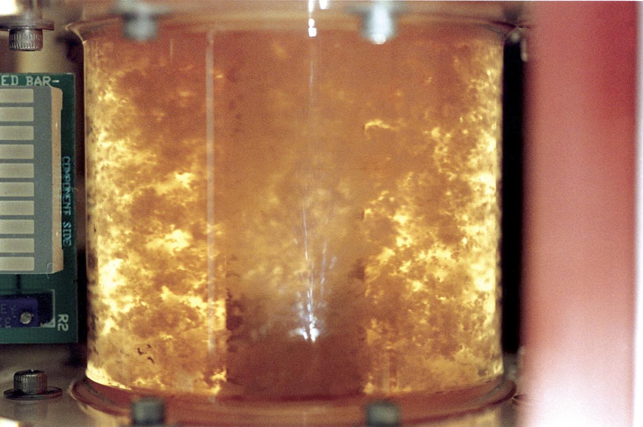 Within five days, bioreactor cultivated human colon cancer cells (shown) grown in Microgravity on the STS-70 mission in 1995, had grown 30 times the volume of the control specimens on Earth.  The samples grown in space had a higher level of cellular organization and specialization.  Because they more closely resemble tumors found in the body, microgravity grown cell cultures are ideal for research purposes.