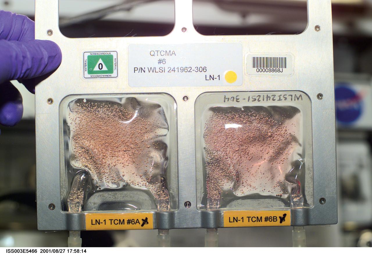 In August 2001, principal investigator Jeanne Becker sent human ovarian tumor cells to the International Space Station (ISS) aboard the STS-105 mission.  The tumor cells were cultured in microgravity for a 14 day growth period and were analyzed for changes in the rate of cell growth and synthesis of associated proteins. In addition, they were evaluated for the expression of several proteins that are the products of oncogenes, which cause the transformation of normal cells into cancer cells.  This photo, which was taken by astronaut Frank Culbertson who conducted the experiment for Dr. Becker, shows two cell culture bags containing LN1 ovarian carcinoma cell cultures.