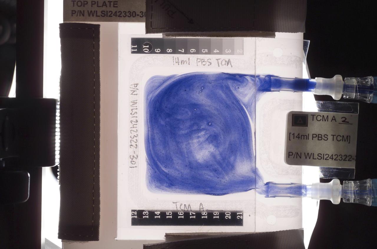 Aboard the International Space Station (ISS), the Tissue Culture Module (TCM) is the stationary bioreactor vessel in which cell cultures grow.  However, for the Cellular Biotechnology Operations Support Systems-Fluid Dynamics Investigation (CBOSS-FDI), color polystyrene beads are used to measure the effectiveness of various mixing procedures.  Uniform mixing is a crucial component of CBOSS experiments involving the immune response of human lymphoid cell suspensions.  In this picture, the beads are trapped in the injection port shortly after injection.  Swirls of beads indicate, event to the naked eye, the contents of the TCM are not fully mixed.  The beads are similar in size and density to human lymphoid cells.  The goal is to develop procedures that are both convenient for the flight crew and are optimal in providing uniform and reproducible mixing of all components, including cells.  The average bead density in a well mixed TCM will be uniform, with no bubbles, and it will be measured using the absorption of light