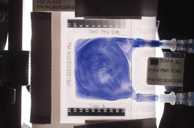 NASA image: Biotechnology