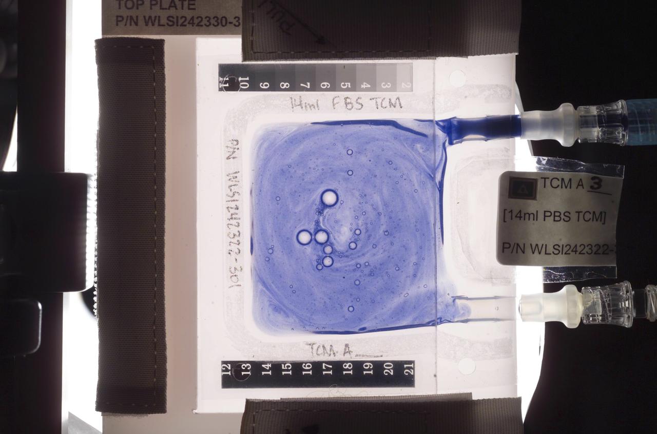 Aboard the International Space Station (ISS), the Tissue Culture Module (TCM) is the stationary bioreactor vessel in which cell cultures grow.  However, for the Cellular Biotechnology Operations Support Systems-Fluid Dynamics Investigation (CBOSS-FDI), color polystyrene beads are used to measure the effectiveness of various mixing procedures.  The beads are similar in size and density to human lymphoid cells. Uniform mixing is a crucial component of CBOSS experiments involving the immune response of human lymphoid cell suspensions.  The goal is to develop procedures that are both convenient for the flight crew and are optimal in providing uniform and reproducible mixing of all components, including cells.  The average bead density in a well mixed TCM will be uniform, with no bubbles, and it will be measured using the absorption of light. In this photograph, beads are trapped in the injection port, with bubbles forming shortly after injection.  