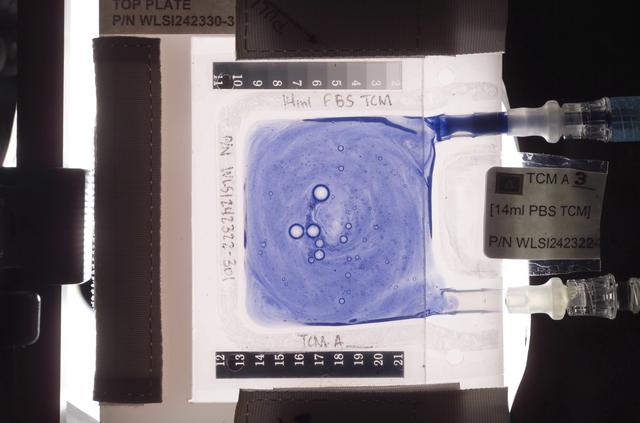 NASA image: Biotechnology