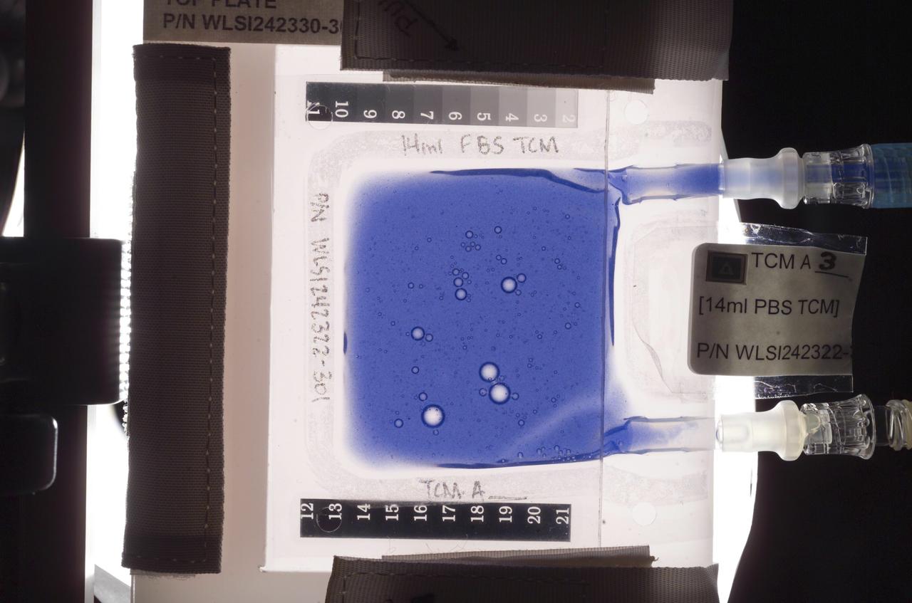 Aboard the International Space Station (ISS), the Tissue Culture Module (TCM) is the stationary bioreactor vessel in which cell cultures grow.  However, for the Cellular Biotechnology Operations Support Systems-Fluid Dynamics Investigation (CBOSS-FDI), color polystyrene beads are used to measure the effectiveness of various mixing procedures. The beads are similar in size and density to human lymphoid cells.  Uniform mixing is a crucial component of CBOSS experiments involving the immune response of human lymphoid cell suspensions.  The goal is to develop procedures that are both convenient for the flight crew and are optimal in providing uniform and reproducible mixing of all components, including cells.  The average bead density in a well mixed TCM will be uniform, with no bubbles, and it will be measured using the absorption of light. In this photograph, a TCM is shown after mixing protocols, and bubbles of various sizes can be seen.