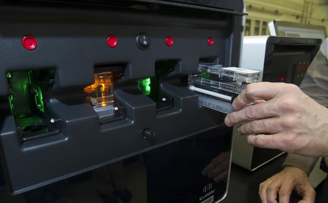 ICUBATE PROCESSOR WITH CASSETTE