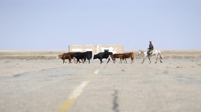 NASA image: Expedition 16 Soyuz TMA-11 Lands