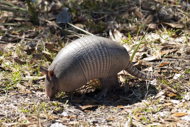 NASA image: 2010-1807