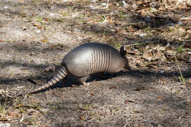 NASA image: 2010-1808