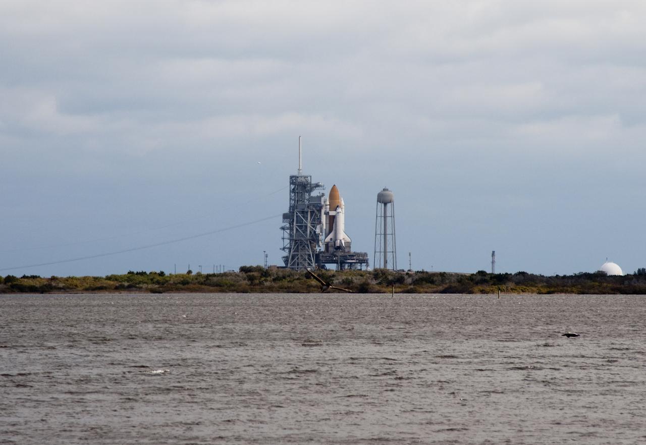 CAPE CANAVERAL, Fla. – Technology and nature coexist at NASA's Kennedy Space Center in Florida as this view of space shuttle Discovery's arrival at Launch Pad 39A illustrates. Discovery's first motion on its 3.4-mile trip from the Vehicle Assembly Building was at 11:58 p.m. EST March 2. The shuttle was secured on the pad at 6:48 a.m. March 3. Rollout is a significant milestone in launch processing activities. The seven-member STS-131 crew will deliver the multi-purpose logistics module Leonardo, filled with resupply stowage platforms and racks, to the International Space Station aboard Discovery. Targeted for launch on April 5, STS-131 will be the 33rd shuttle mission to the station and the 131st shuttle mission overall. For information on the STS-131 mission and crew, visit http:__www.nasa.gov_mission_pages_shuttle_shuttlemissions_sts131_index.html. Photo credit: NASA_Jim Grossmann