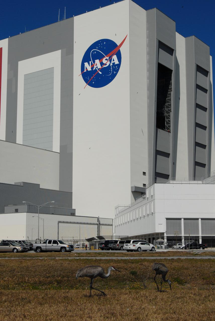 Sand Hill Cranes with VAB and LCC in Background