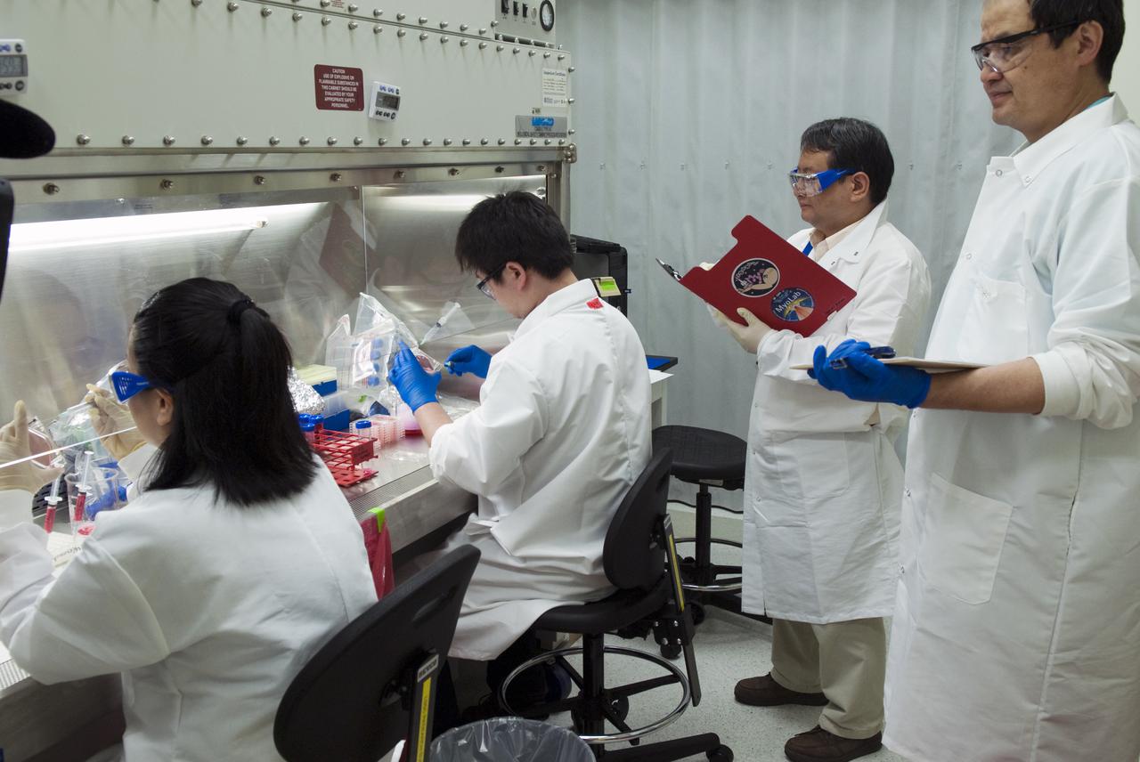 CAPE CANAVERAL, Fla. - Inside a laboratory in the Space Station Processing Facility at Kennedy Space Center in Florida, Japan Aerospace Exploration Agency scientists prepare samples for the Molecular Mechanism of Microgravity-Induced Skeletal Muscle Atrophy – Physiological Relevance of Cbl-b Ubiquitin Ligase, or MyoLab, experiment. MyoLab will be delivered to the International Space Station aboard Discovery on the STS-131 mission. MyoLab will study a rat muscle gene modified cell line to determine the effects of microgravity. The MyoLab experiment is one of several biology and biotechnology, human research, physical, materials science and technology experiments that will be delivered to the space station aboard Discovery. The STS-131 mission also will deliver the multi-purpose logistics module Leonardo, filled with resupply stowage platforms and science racks. STS-131, scheduled to launch at 6:21 a.m. on April 5, will be the 33rd shuttle mission to the station and the 131st shuttle mission overall. For more information on the mission and crew, visit http:__www.nasa.gov_mission_pages_shuttle_shuttlemissions_sts131_index.htm. Photo credit: NASA_Jim Grossmann