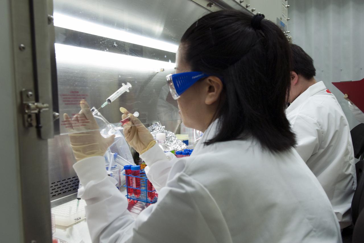 CAPE CANAVERAL, Fla. - Inside a laboratory in the Space Station Processing Facility at Kennedy Space Center in Florida, a Japan Aerospace Exploration Agency scientist prepares samples for the Molecular Mechanism of Microgravity-Induced Skeletal Muscle Atrophy – Physiological Relevance of Cbl-b Ubiquitin Ligase, or MyoLab, experiment. MyoLab will be delivered to the International Space Station aboard Discovery on the STS-131 mission. MyoLab will study a rat muscle gene modified cell line to determine the effects of microgravity. The MyoLab experiment is one of several biology and biotechnology, human research, physical, materials science and technology experiments that will be delivered to the space station aboard Discovery. The STS-131 mission also will deliver the multi-purpose logistics module Leonardo, filled with resupply stowage platforms and science racks. STS-131, scheduled to launch at 6:21 a.m. on April 5, will be the 33rd shuttle mission to the station and the 131st shuttle mission overall. For more information on the mission and crew, visit http:__www.nasa.gov_mission_pages_shuttle_shuttlemissions_sts131_index.htm. Photo credit: NASA_Jim Grossmann