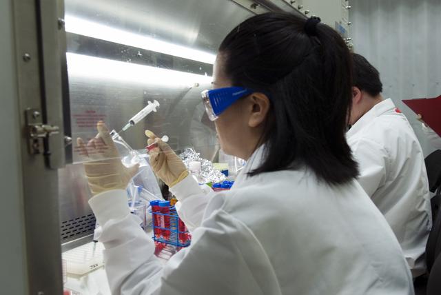 NASA image: KSC-2010-2411