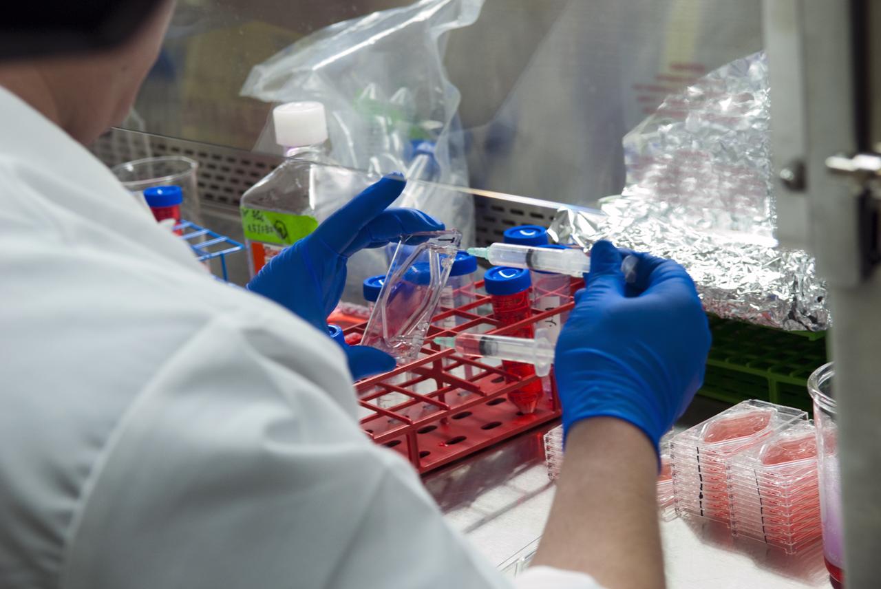 STS-131 JAXA SPACE RADIATION & MICROGRAVITY ON MAMMALIAN CELLS EXPERIMENT - FLIGHT PREPS