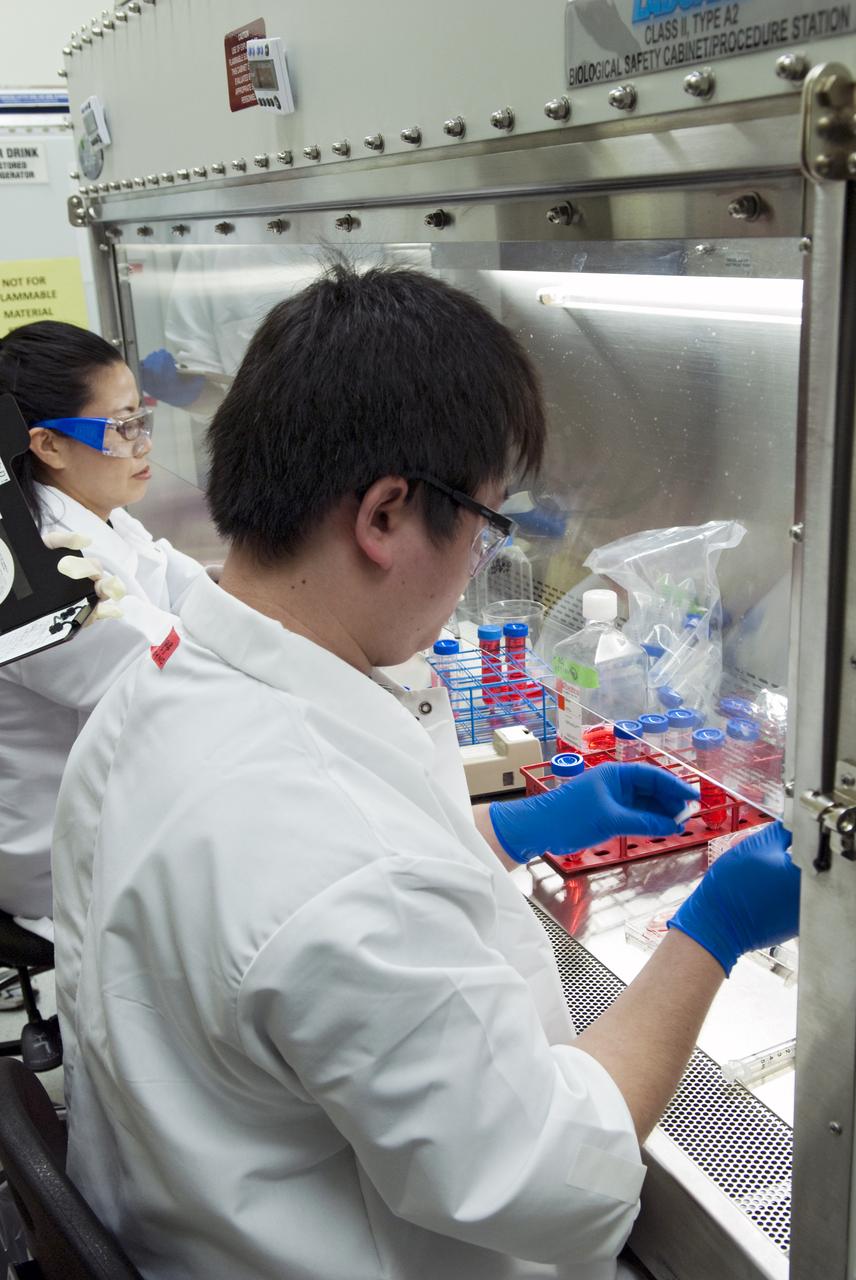 STS-131 JAXA SPACE RADIATION & MICROGRAVITY ON MAMMALIAN CELLS EXPERIMENT - FLIGHT PREPS