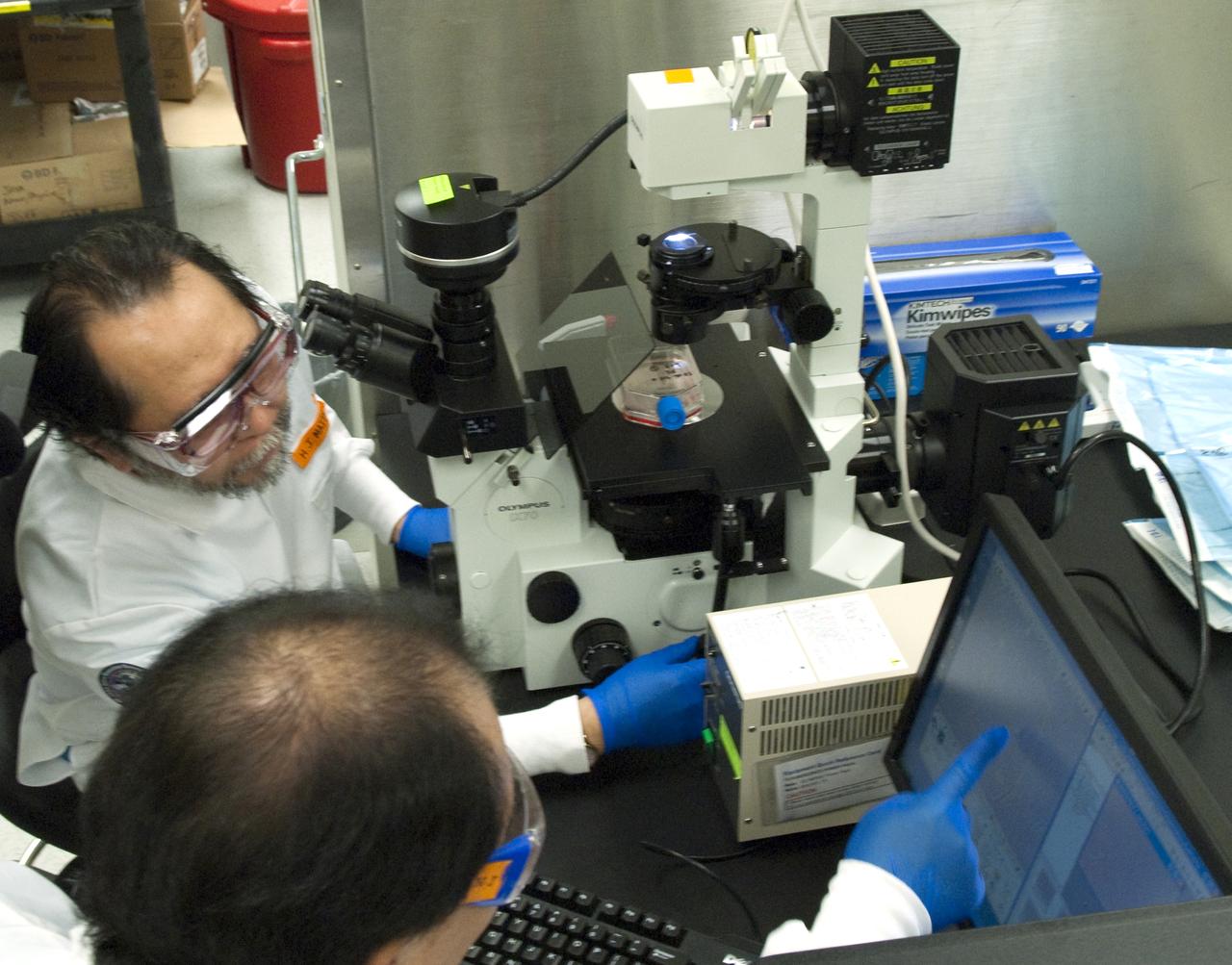 STS-131 JAXA SKELETAL MUSCLE CELLS GROWTH FACTORS IN SPACE EXPERIMENT - FLIGHT PREPS