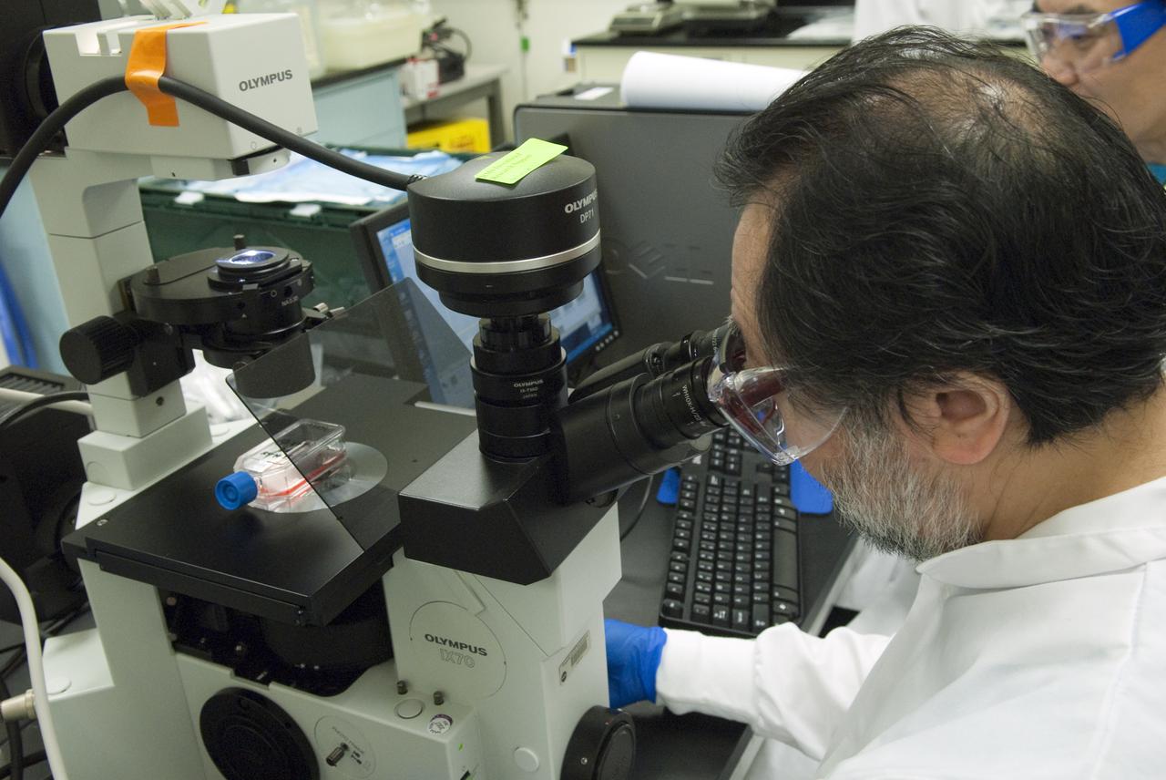 STS-131 JAXA SKELETAL MUSCLE CELLS GROWTH FACTORS IN SPACE EXPERIMENT - FLIGHT PREPS