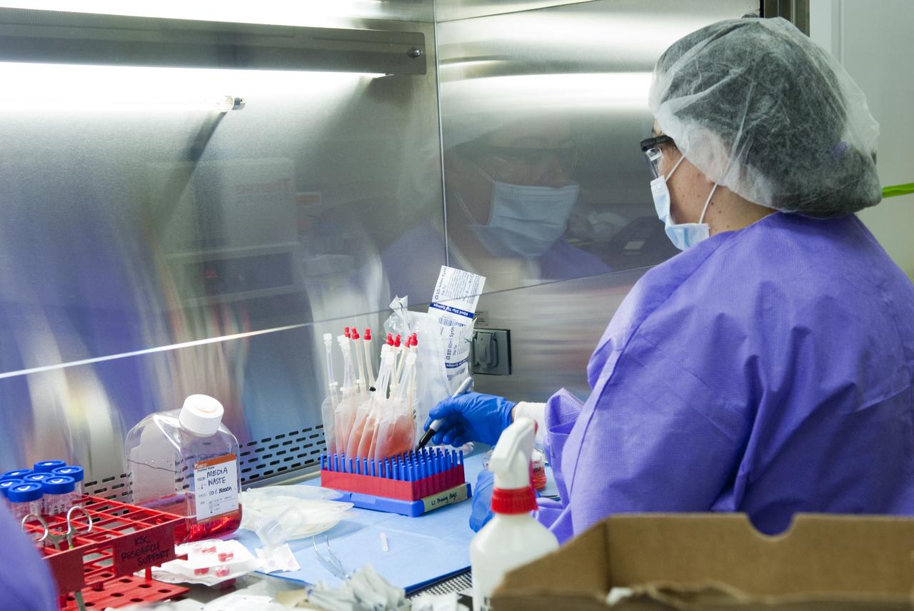 STS-131 NASA & WALTER REED HOSPITAL TISSUE GROWTH EXPERIMENTS - FLIGHT PREPS