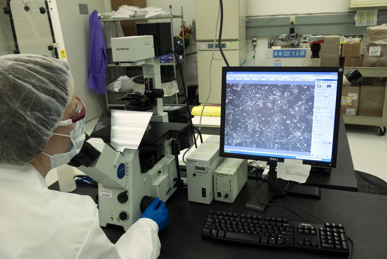 STS-131 NASA & WALTER REED HOSPITAL TISSUE GROWTH EXPERIMENTS - FLIGHT PREPS