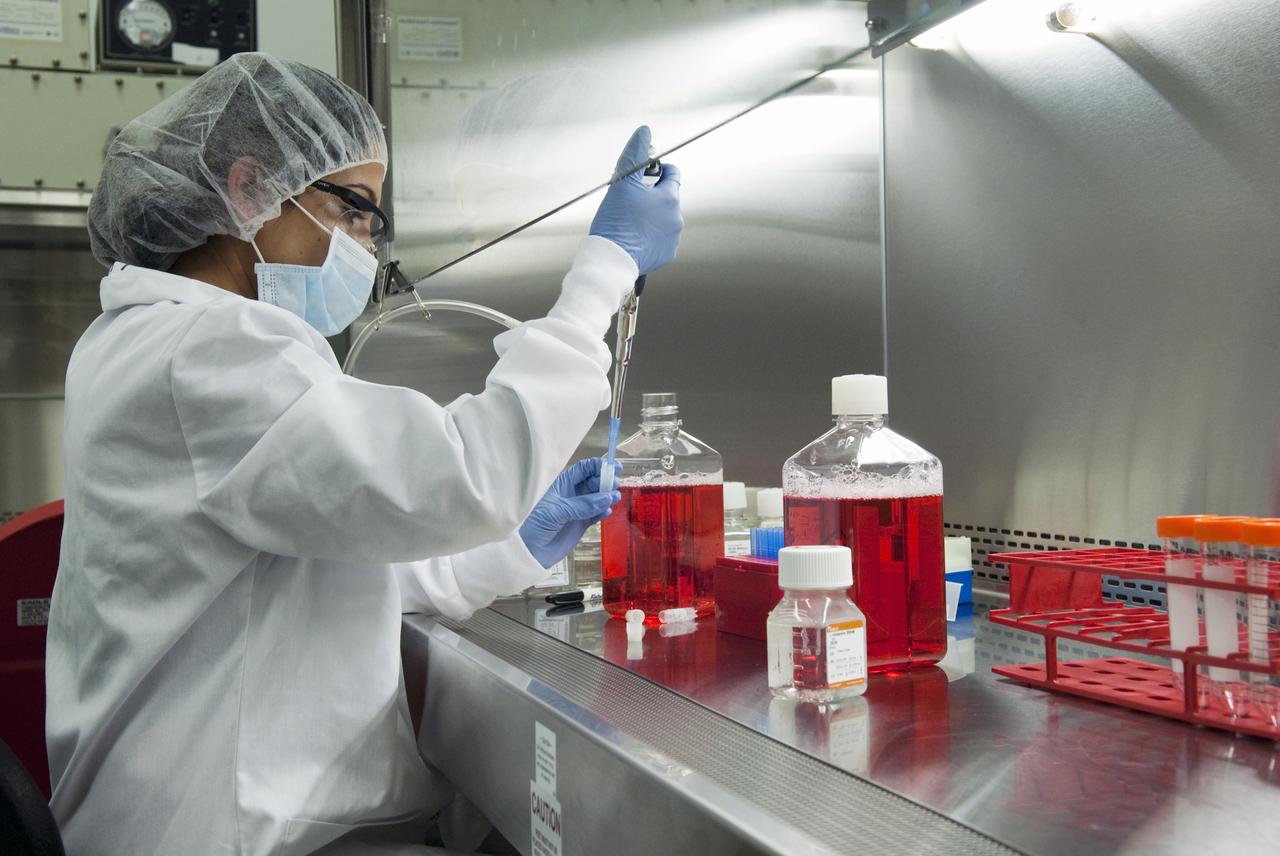 STS-131 NASA & WALTER REED HOSPITAL TISSUE GROWTH EXPERIMENTS - FLIGHT PREPS