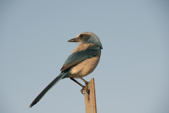 NASA image: KSC-2010-2467