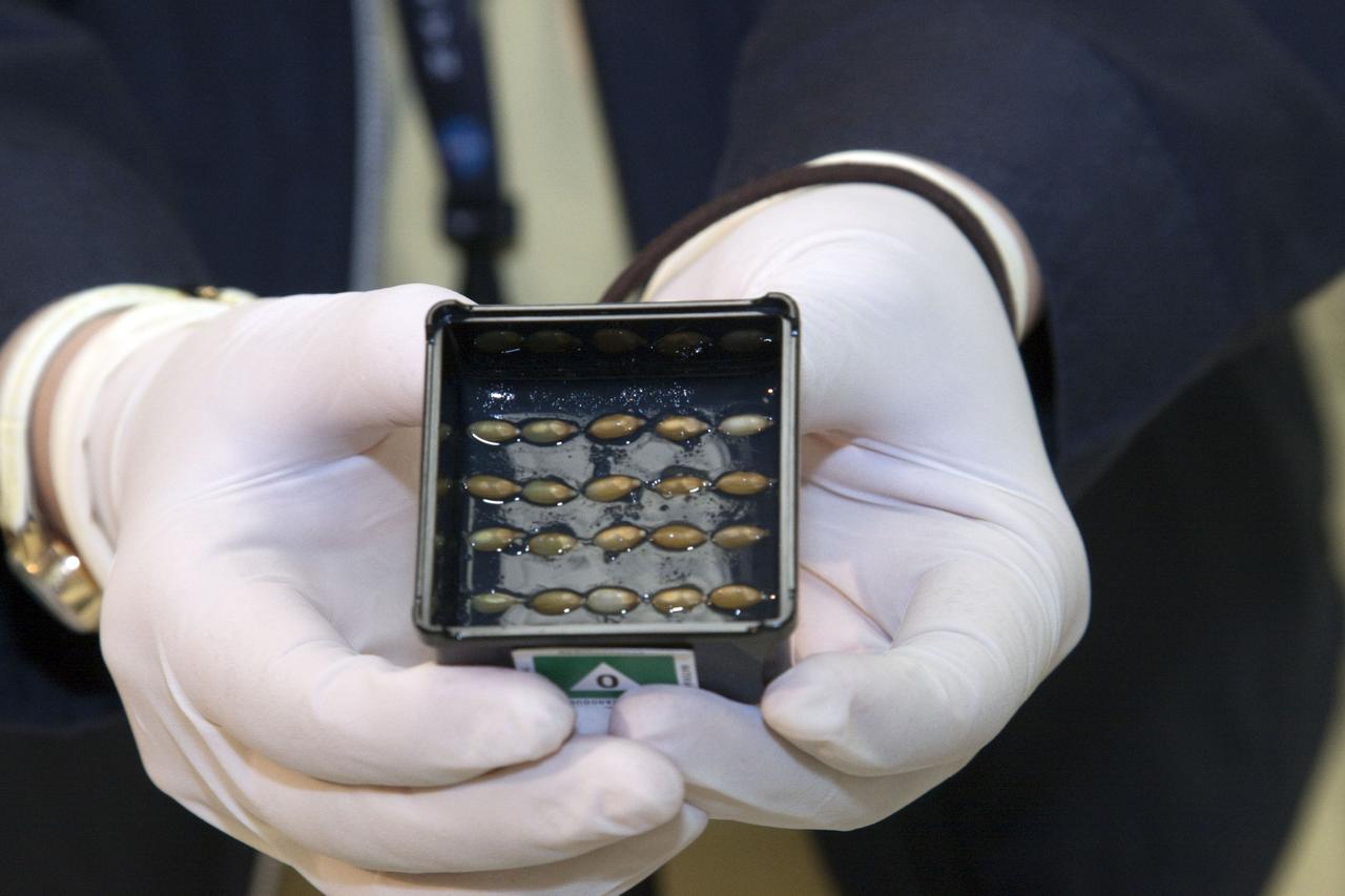 STS-132 JAXA FISH SCALES & HYDROTROP EXPERIMENTS