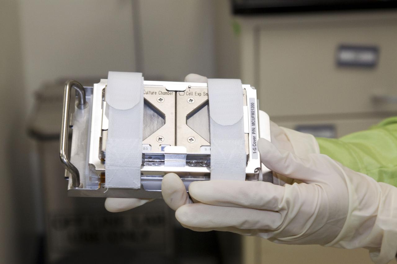 STS-132 JAXA FISH SCALES & HYDROTROP EXPERIMENTS