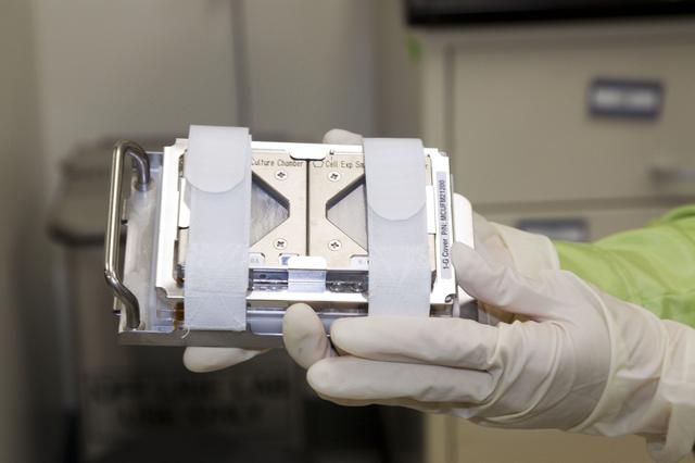 NASA image: 2010-3225