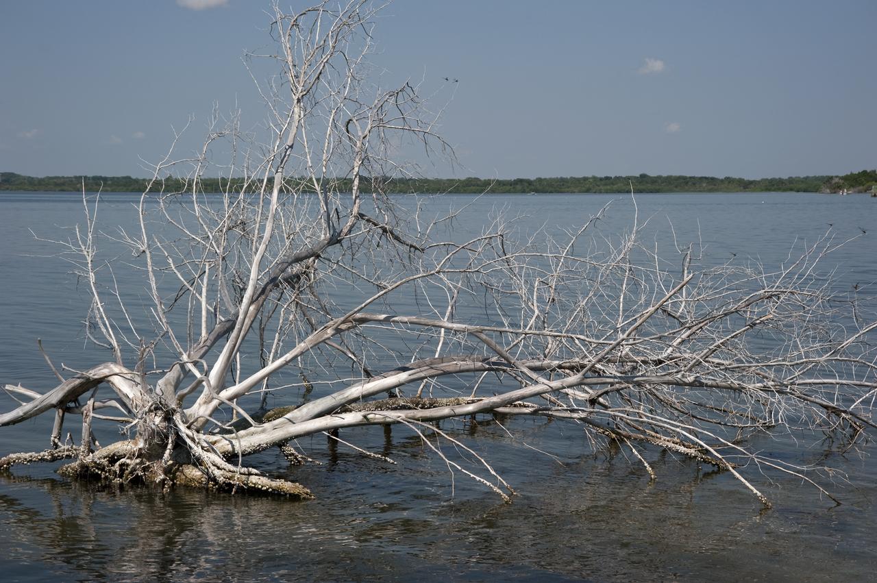 STS-335 LAUNCH ON NEED - LAST SRB SEGMENTS ARRIVAL - DRAW BRIDGE OVER BANANA RIVER