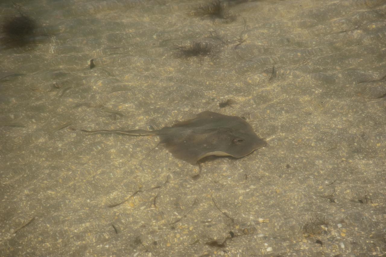 STS-335 LAUNCH ON NEED - LAST SRB SEGMENTS ARRIVAL - DRAW BRIDGE OVER BANANA RIVER