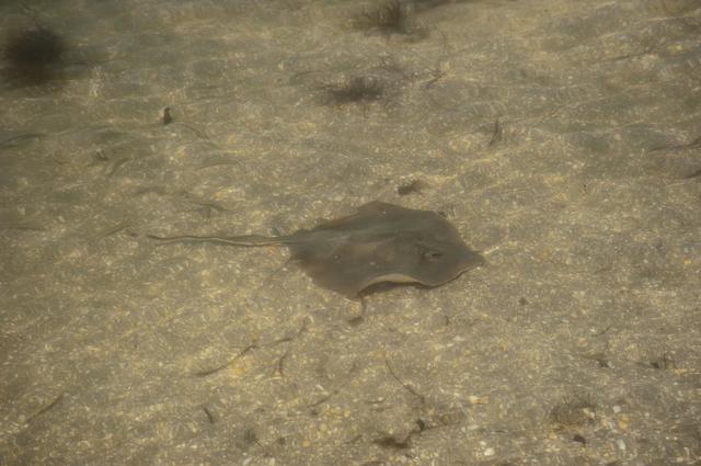 NASA image: 2010-3630