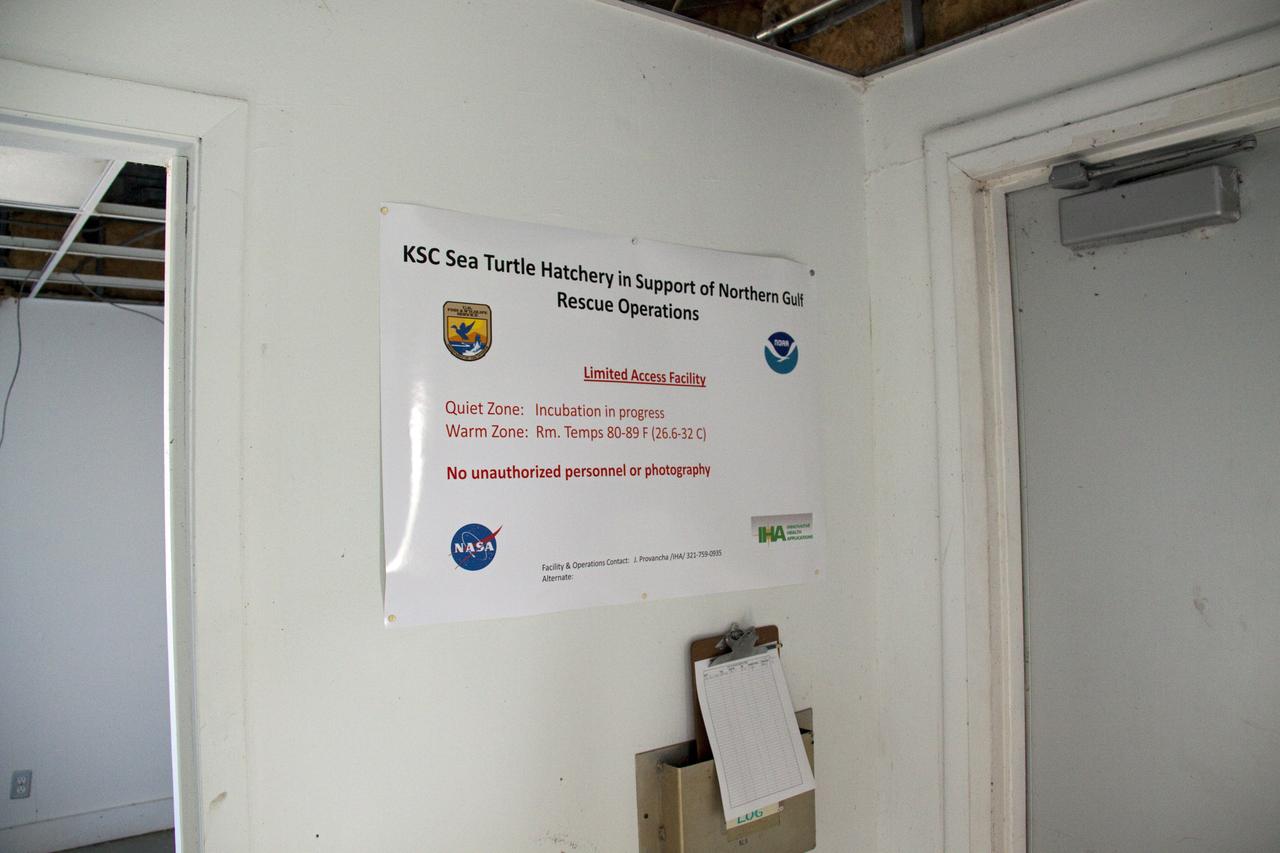 KSC SEA TURTLE HATCHERY IN SUPPORT OF NORTHERN GULF RESCUE OPERATIONS