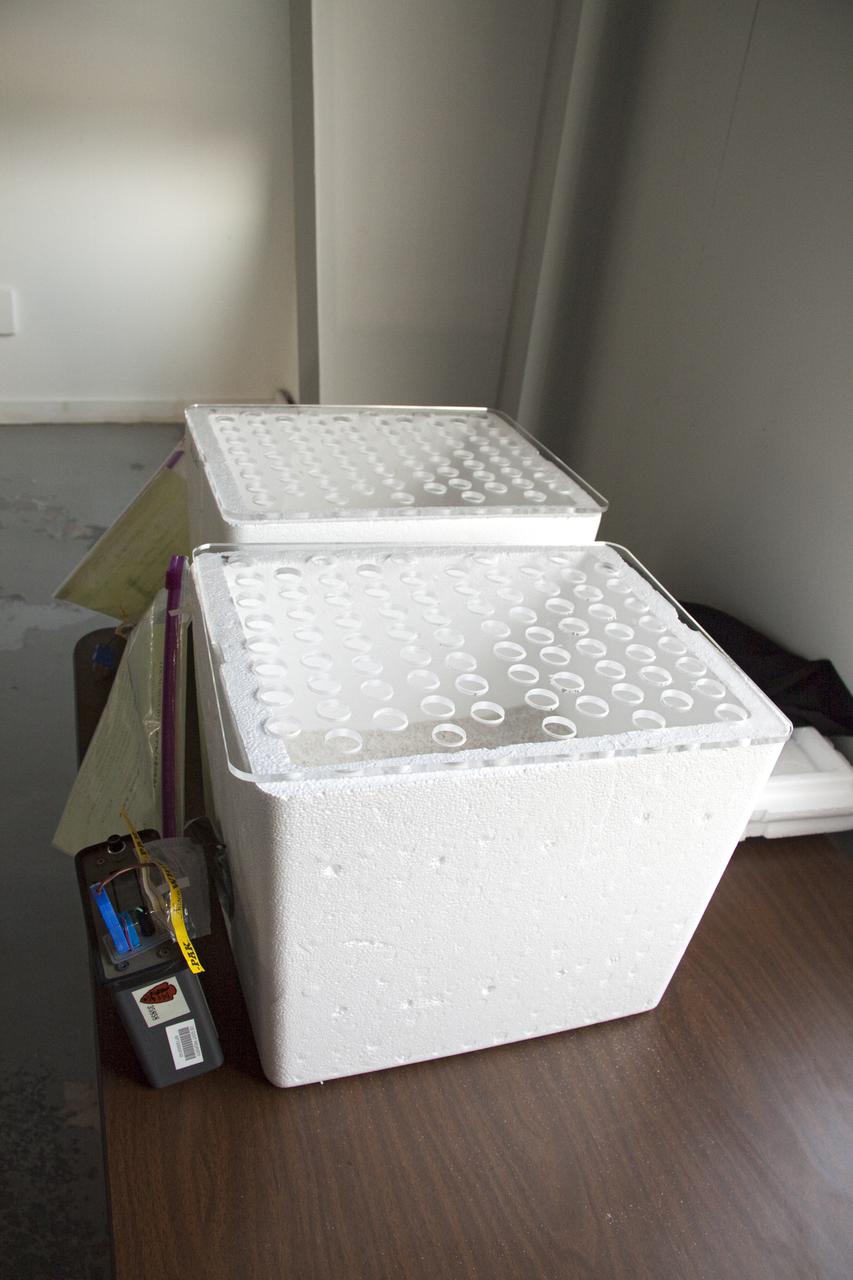 CAPE CANAVERAL, Fla. In a secure facility located at NASA's Kennedy Space Center in Florida, two Styrofoam boxes containing endangered sea turtle eggs brought from beaches along the northern U.S. Gulf Coast are being monitored in a climate-controlled room until incubation is complete. Jane Provancha, lead biologist at the hatchery is heading-up the project at Kennedy.       After hatching, the turtles will be set free on a Kennedy Space Center_Canaveral National Seashore beach. The Northern Gulf Rescue Operations relocation and release work effort is supported by the U.S. Fish and Wildlife Service, the Florida Fish and Wildlife Conservation Commission, the National Park Service, NOAA, FedEx and conservationists to help minimize the risk to this year's sea turtle hatchlings from impacts of the BP Deepwater Horizon oil spill in the Gulf of Mexico. Photo credit: NASA_Troy Cryder