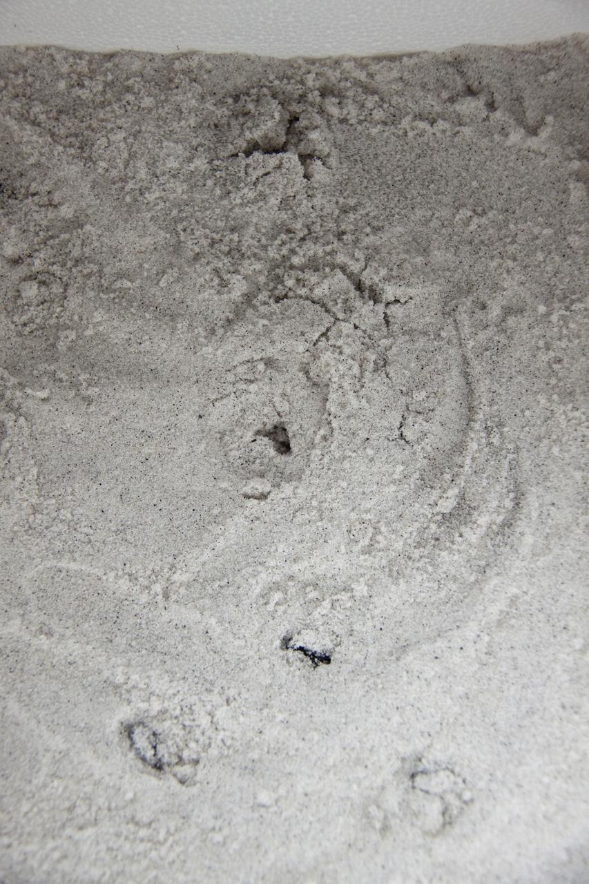 KSC SEA TURTLE HATCHERY IN SUPPORT OF NORTHERN GULF RESCUE OPERATIONS