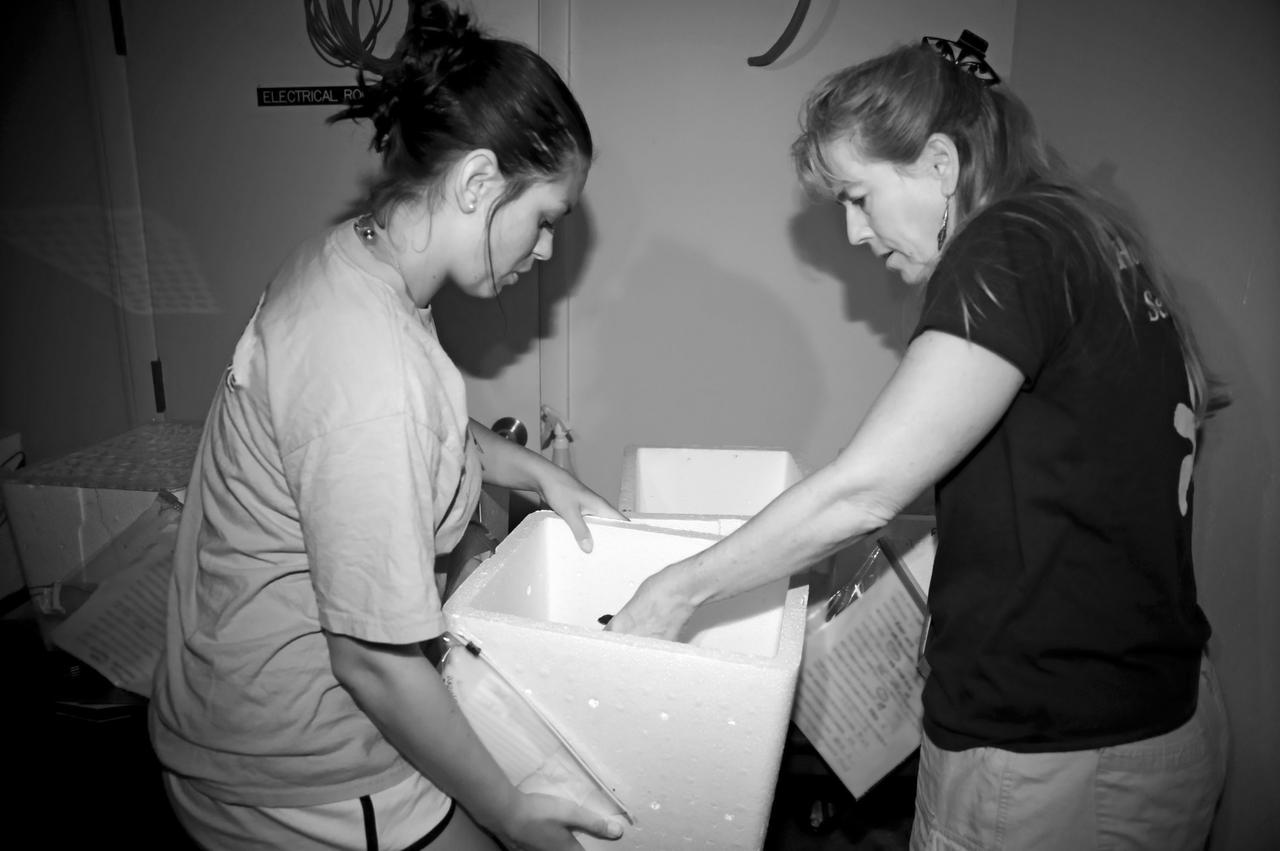 KSC WILDLIFE - TURTLE RELEASE FROM PLAYALINDA - GULF RESCUE OPS