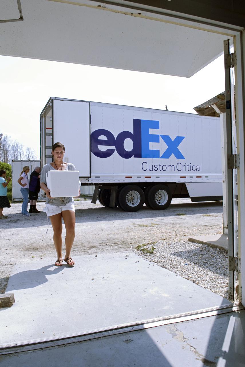 FED-EX TRUCK ARRIVAL WITH SEA TURTLES - GULF RESCUE OPS