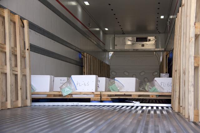 NASA image: 2010-4186