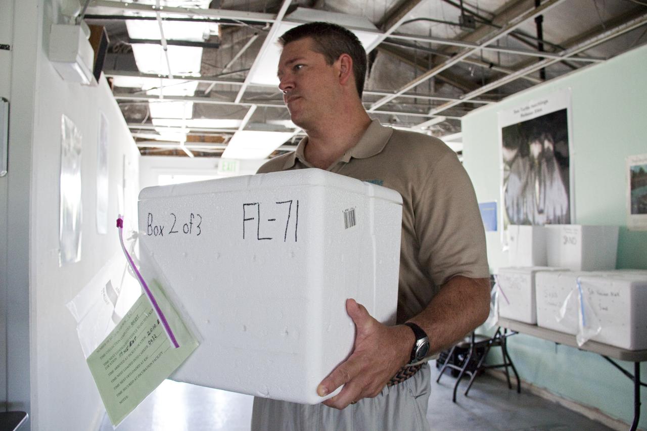 SEA TURTLE ARRIVAL - GULF RESCUE OPS