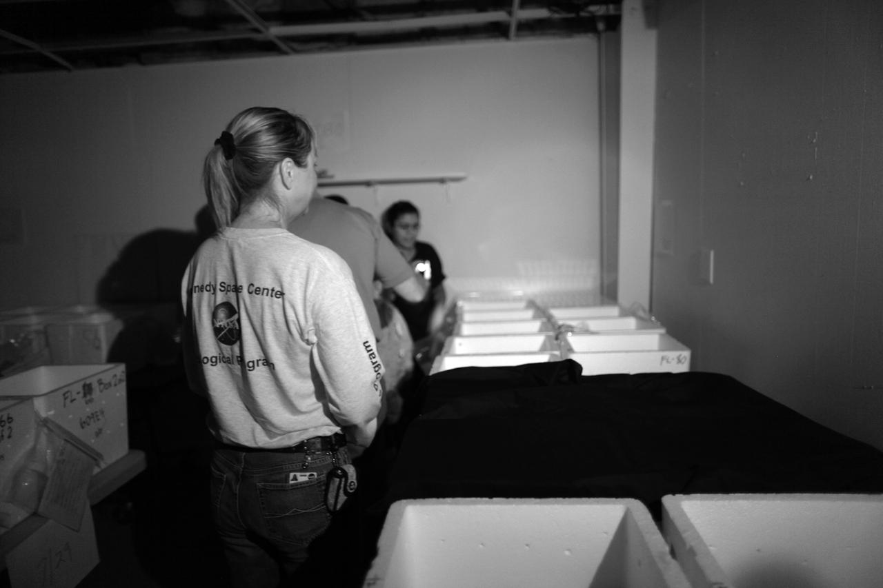 KSC Sea Turtle Release - Media Event