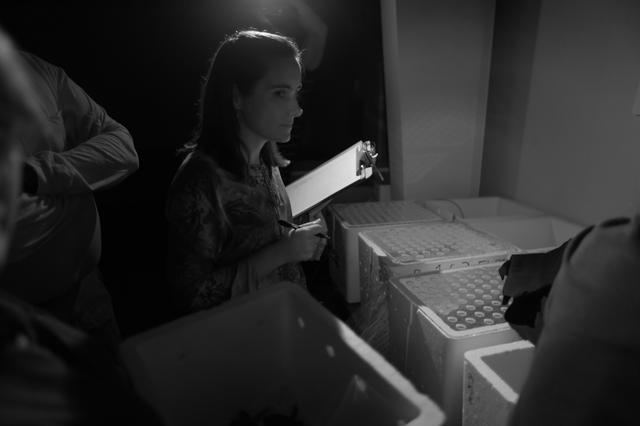 NASA image: 2010-4247