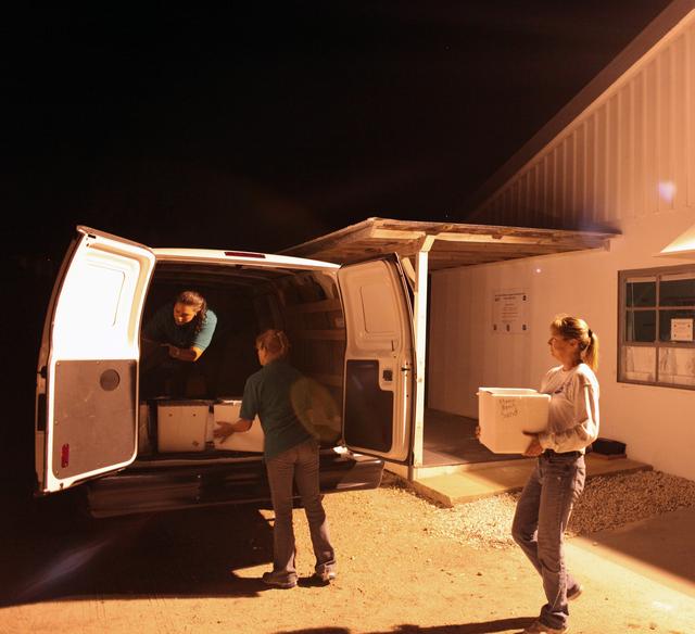 NASA image: 2010-4248