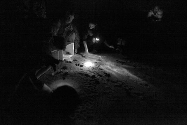 NASA image: KSC-2010-4249