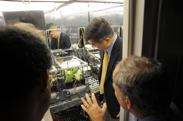 NASA image: 2010-4271