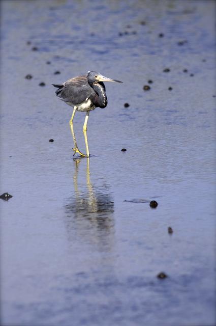 NASA image: 2010-5318