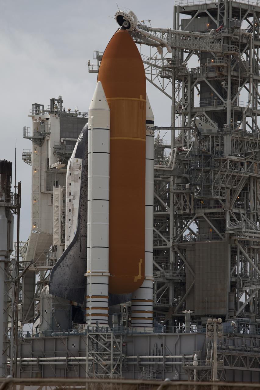 STS-133 DISCOVERY ON PAD 39A & SURROUNDING WILDLIFE - WEATHER SCRUB