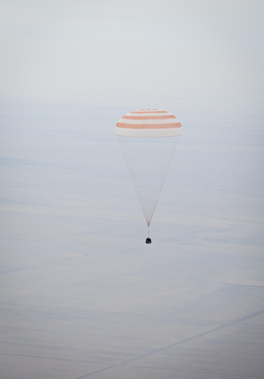 The Soyuz TMA-19 spacecraft is seen as it descends with Expedition 25 Commander Doug Wheelock and Flight Engineers Shannon Walker and Fyodor Yurchikhin near the town of Arkalyk, Kazakhstan on Friday, Nov. 26, 2010. Russian Cosmonaut Yurchikhin and NASA Astronauts Wheelock and Walker, are returning from nearly six months onboard the International Space Station where they served as members of the Expedition 24 and 25 crews. Photo Credit: (NASA/Bill Ingalls)