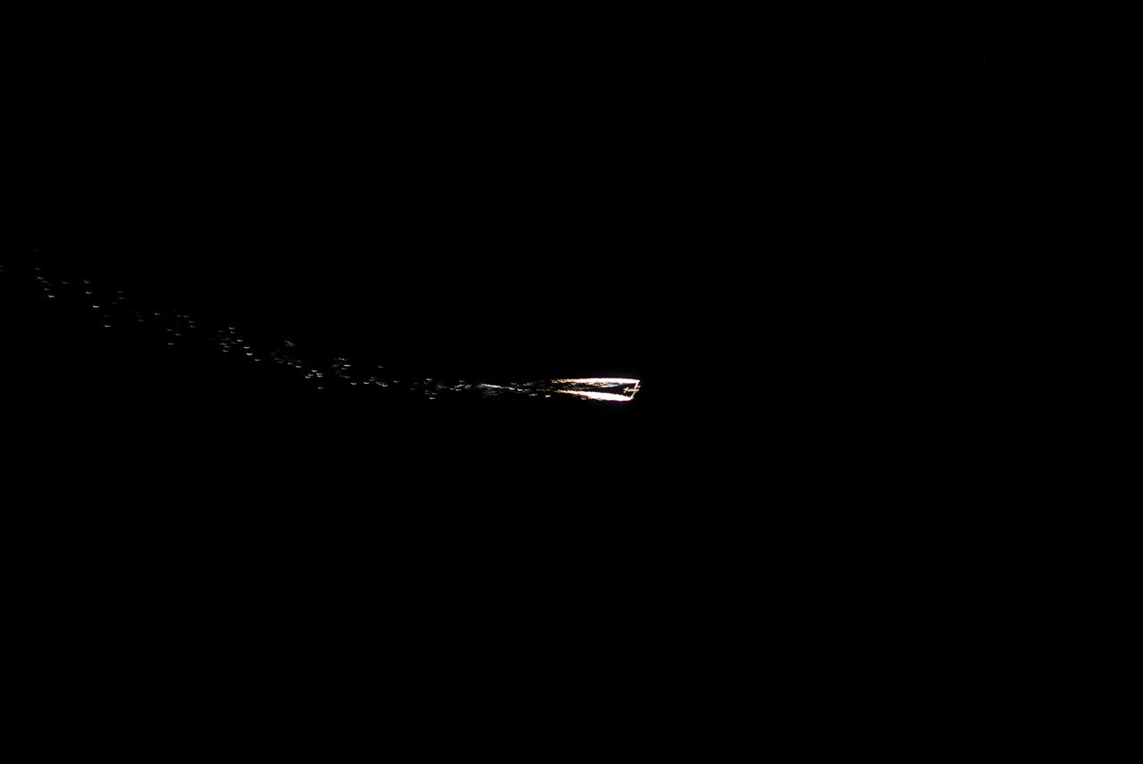 We Made History Employee Event, Rover